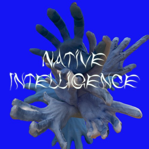 Native Intelligence封面