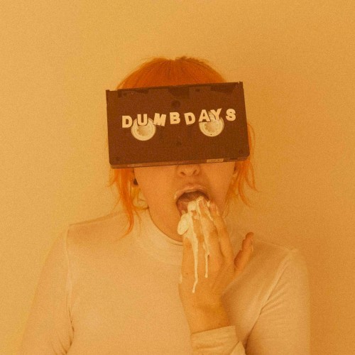 Dumb Days封面