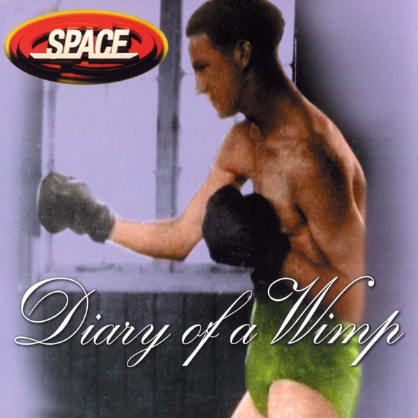 Diary of a Wimp封面