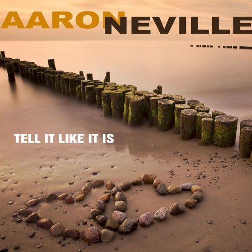 Aaron Neville封面