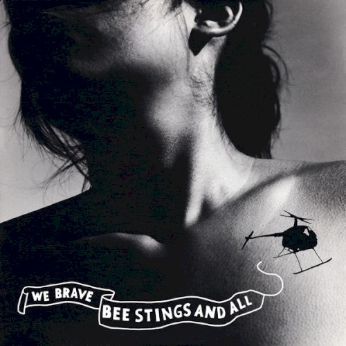 We Brave Bee Stings and All封面