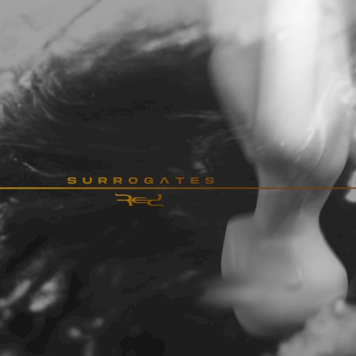Surrogates封面