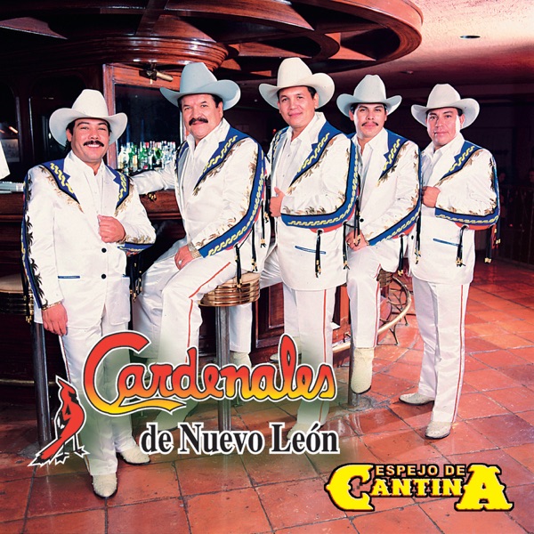 Espejo de cantina封面