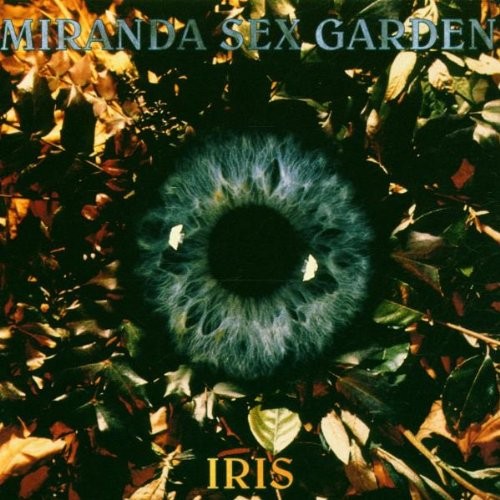 Iris封面