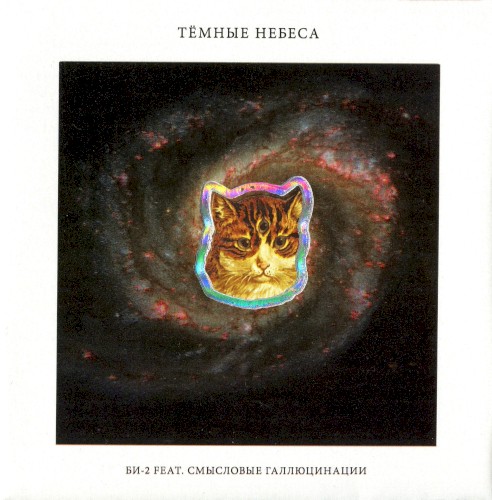 Тёмные небеса封面