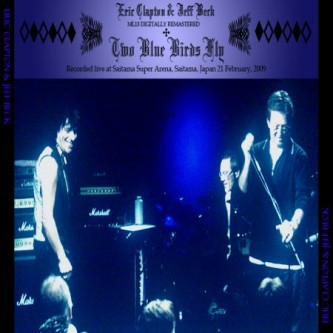 Two Blue Birds Fly封面