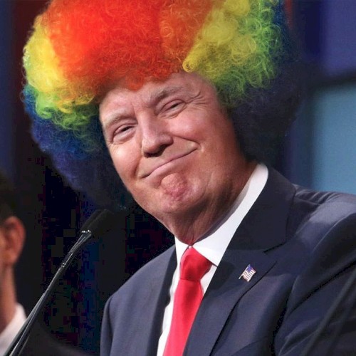 Trumpular封面