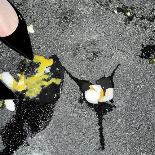 Yolk封面