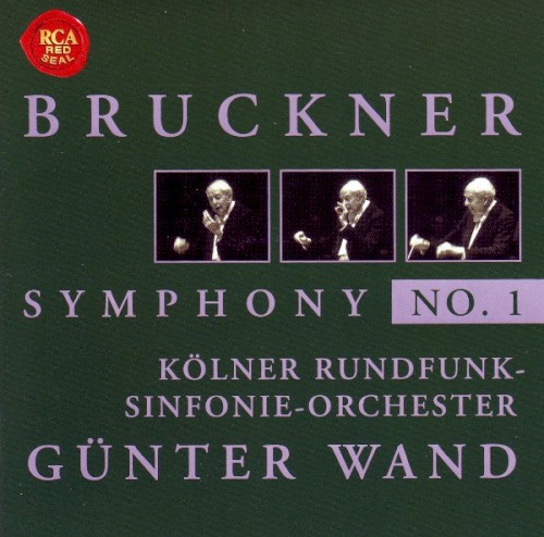 Sinfonie Nr. 1 c-moll封面