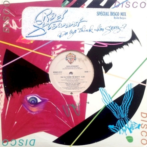 Da Ya Think I'm Sexy? (Special Disco Mix)封面