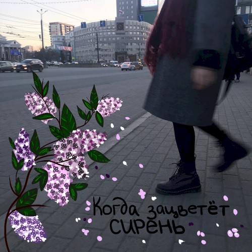 Когда зацветёт сирень封面