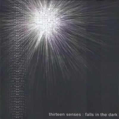 Falls in the Dark封面