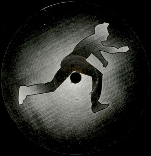 Falling in Dub封面