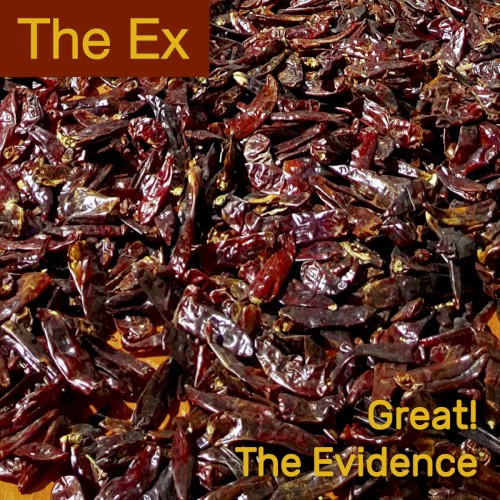 Great! / The Evidence封面