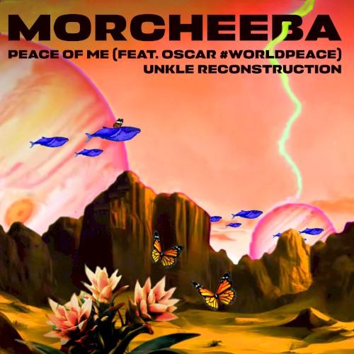 Peace of Me (UNKLE Reconstruction)封面