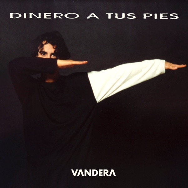 Dinero a tus pies封面