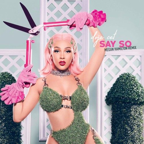 Say So (Megan Hamilton remix)封面
