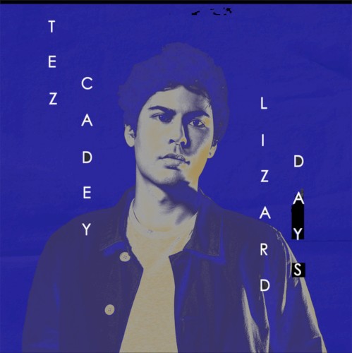 Lizard Days封面