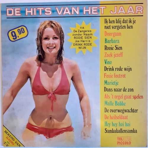 De hits van het jaar封面