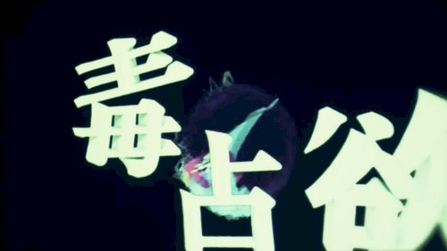 毒占欲封面