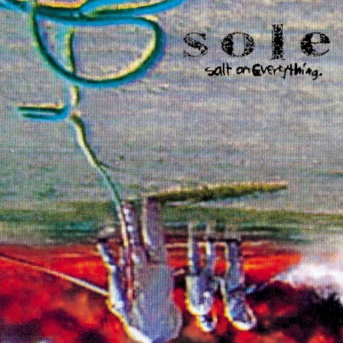 Salt on Everything封面