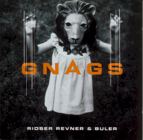 Ridser, revner & buler封面