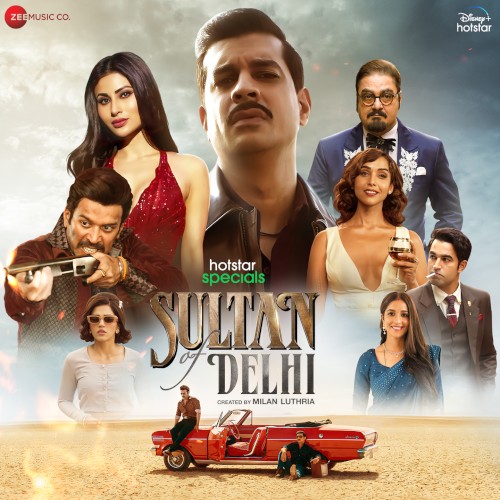 Sultan Of Delhi封面