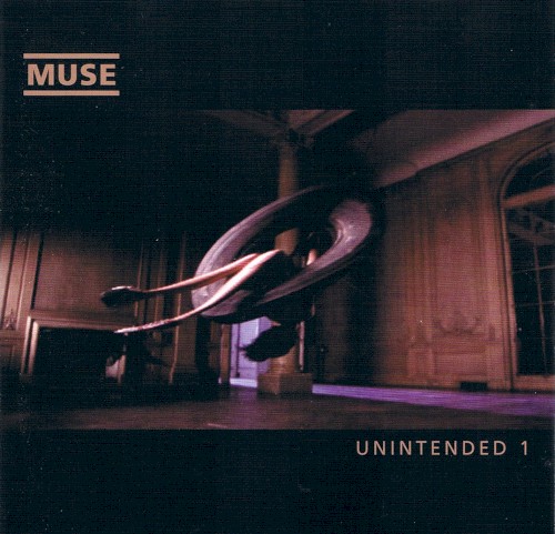 Unintended封面