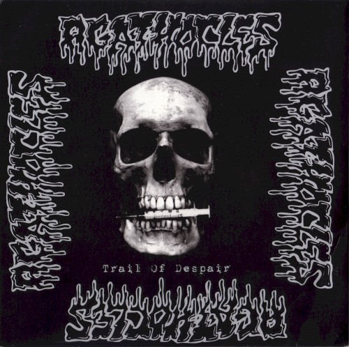 Trail of Despair / [untitled]封面