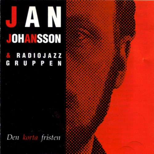 Den korta fristen封面