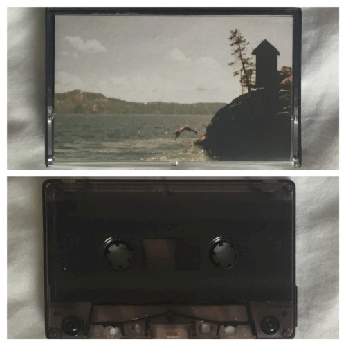 Flowers Taped to Pens / Nevasca / American Memories / Daycare封面