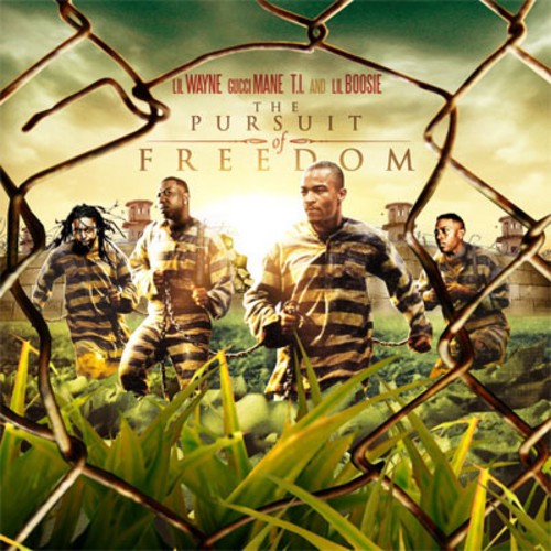 The Pursuit of Freedom封面