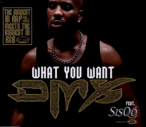 What You Want封面
