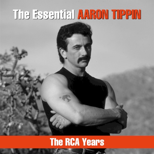 The Essential Aaron Tippin封面