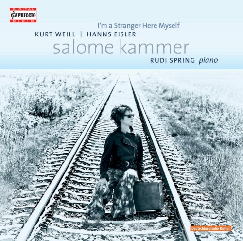 I Am A Stranger Here Myself封面