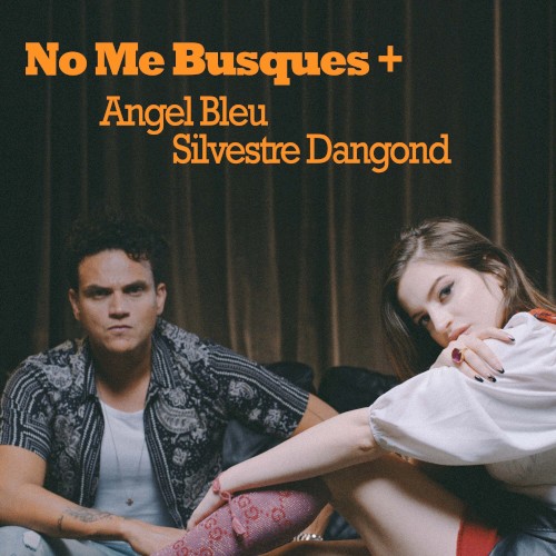 No me busques más封面