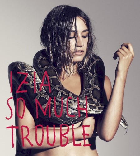 So Much Trouble封面