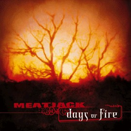 Days of Fire封面