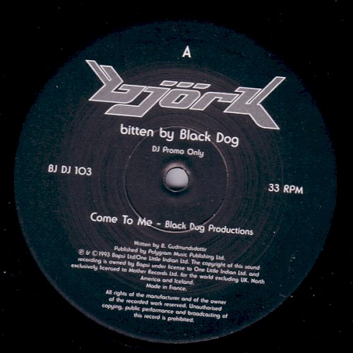 Björk Bitten by Black Dog封面