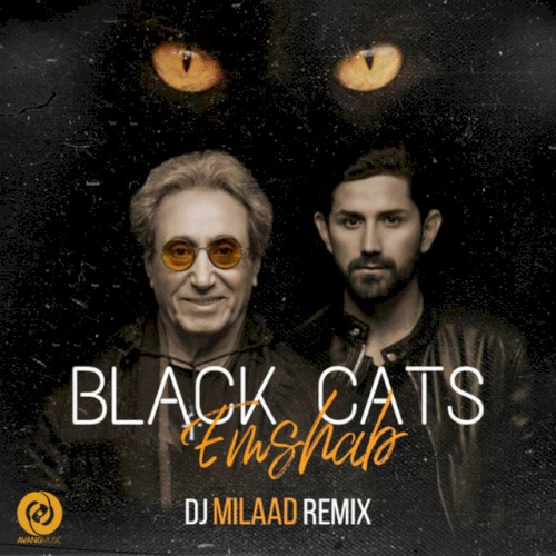 Emshab (Remix)封面