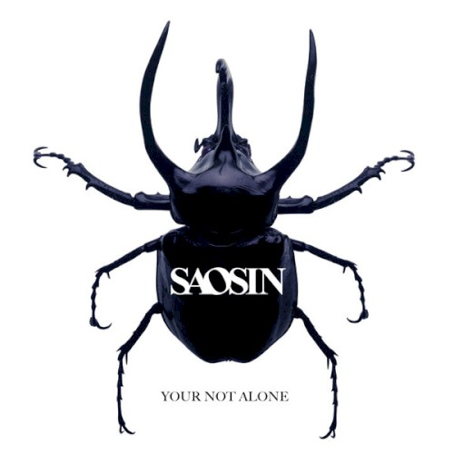 You’re Not Alone封面