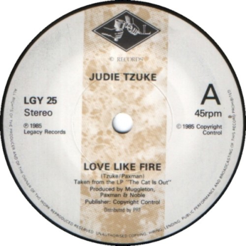 Love Like Fire封面