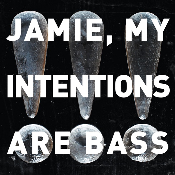 Jamie, My Intentions Are Bass封面