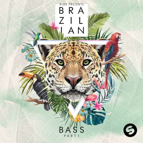 Alok Presents Brazilian Bass, Part 1封面