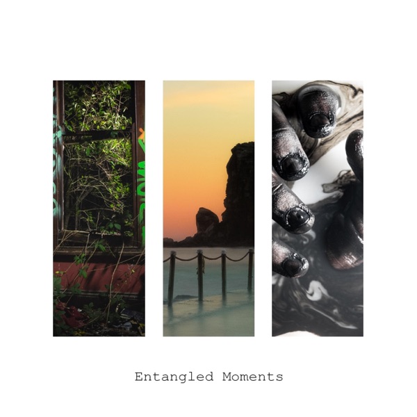 Entangled Moments封面