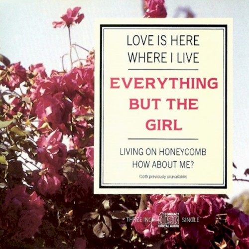 Love Is Here Where I Live封面