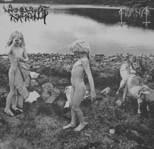 Horna / Woods of Infinity封面