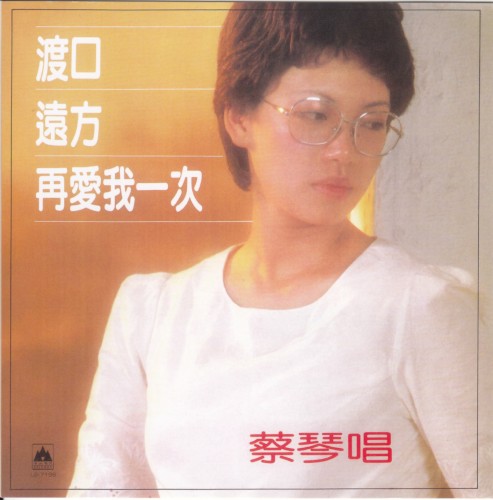 再愛我一次封面