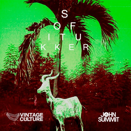 Drinkee (Vintage Culture & John Summit Remix)封面