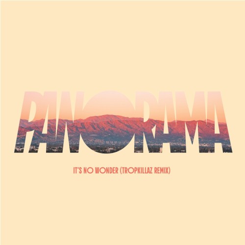 It's No Wonder (Tropkillaz remix)封面